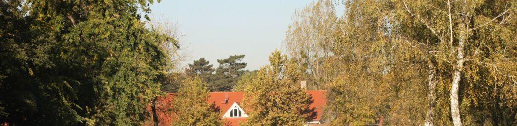 Old Lake Golf Club cover image