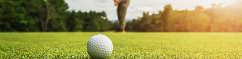 Zlati Gric Golf Course cover image