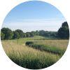 Image for Malahide Golf Club - Red / Blue course